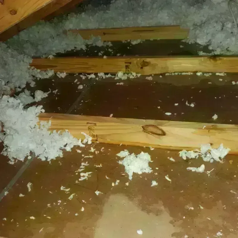 Attic Water Damage in Marine City, MI