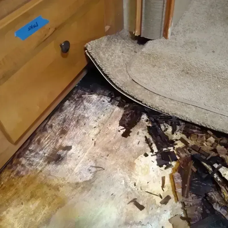 Wood Floor Water Damage in Marine City, MI